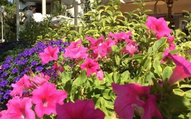 The Donatello Hotel Cesenatico