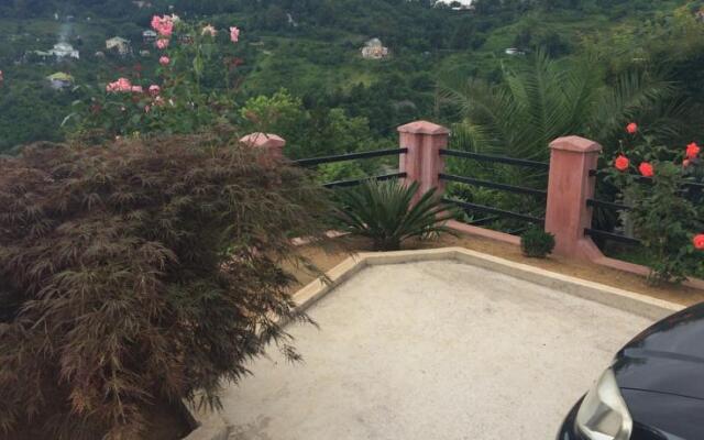 To Jijavadze Guest House