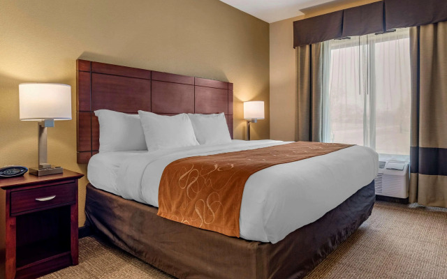 Comfort Suites Airport South