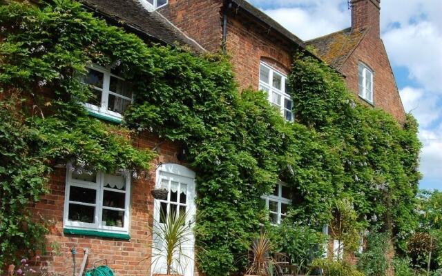 Old Ivy House Bed & Breakfast