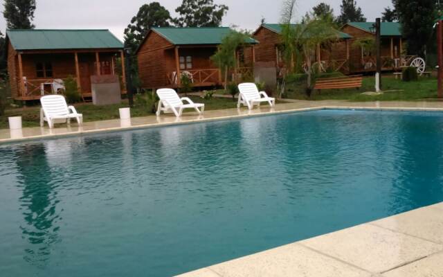 Verde y Sol en la Colonia