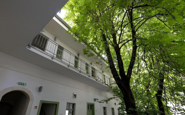 The Hive Party Hostel