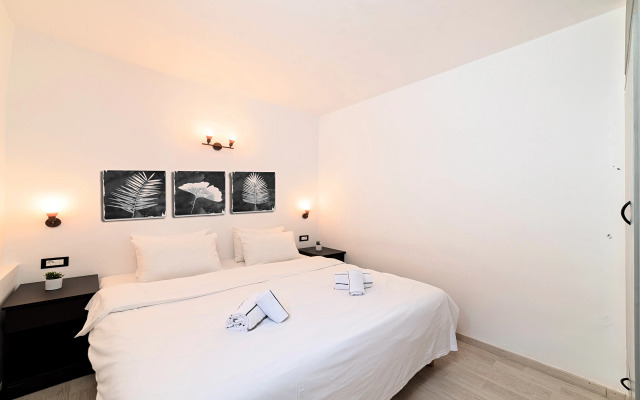 Anemone Seaside Traditional Homes