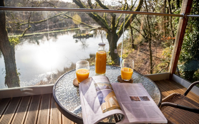 Treehouse in Germansweek Near Dartmoor Trails