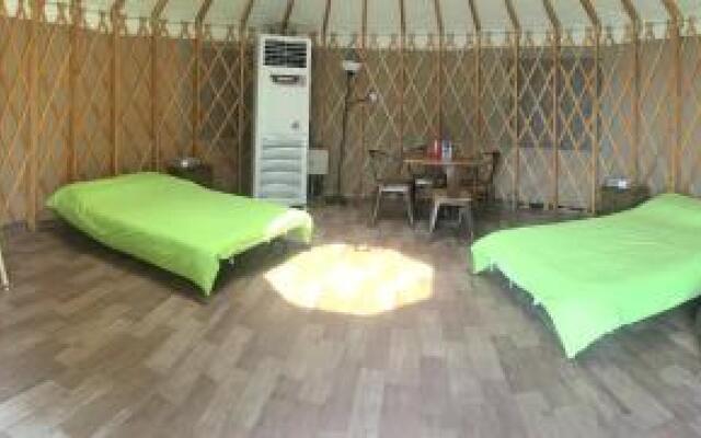 Saiyuen Camping Adventure Park