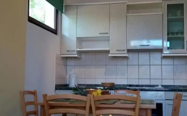 Apartment Brtan