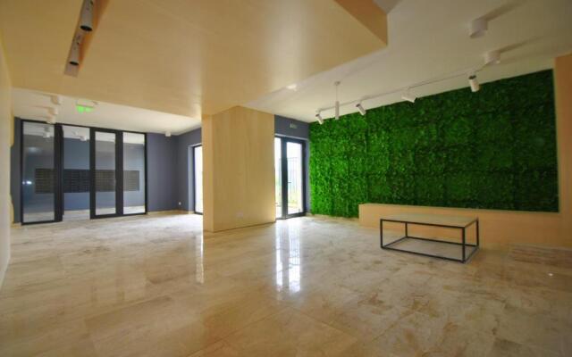Forest 1