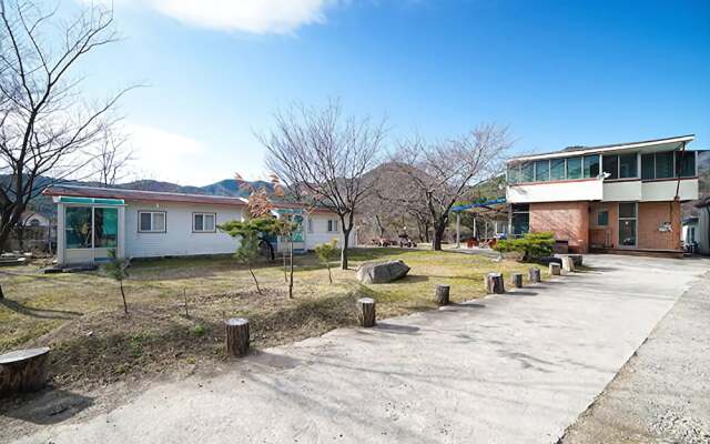 Pohang Mushroom House Pension