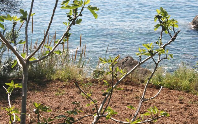 Agriturismo San Carlo