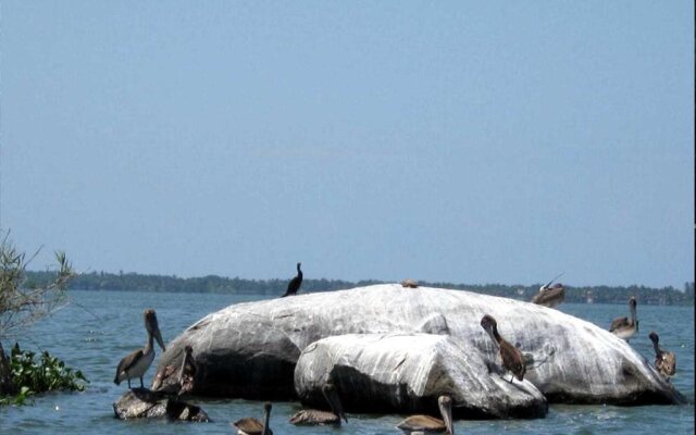 Jardines Los Cormoranes