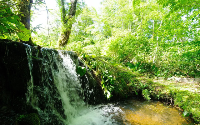Yachi Onsen Spa