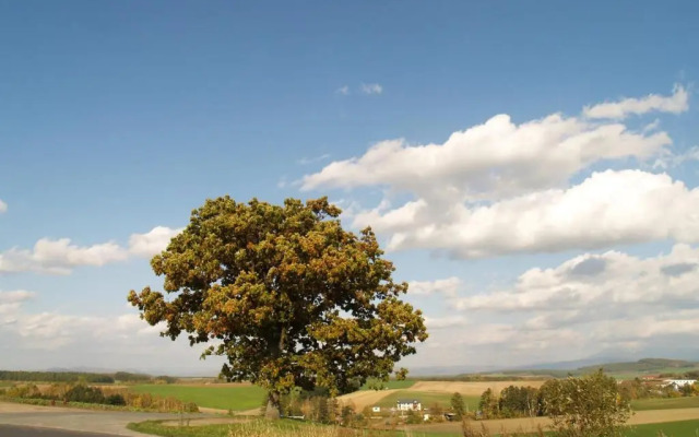 Avidasion - Vacation STAY 13343