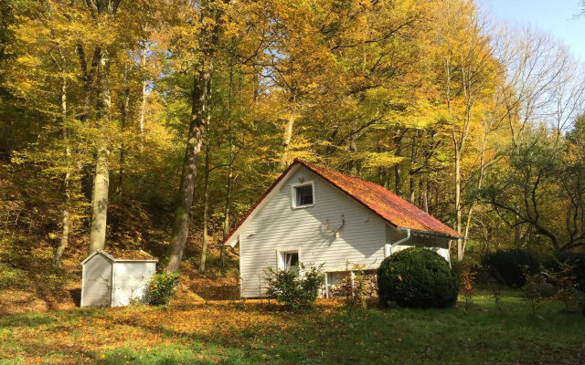 "das Waldhaus"
