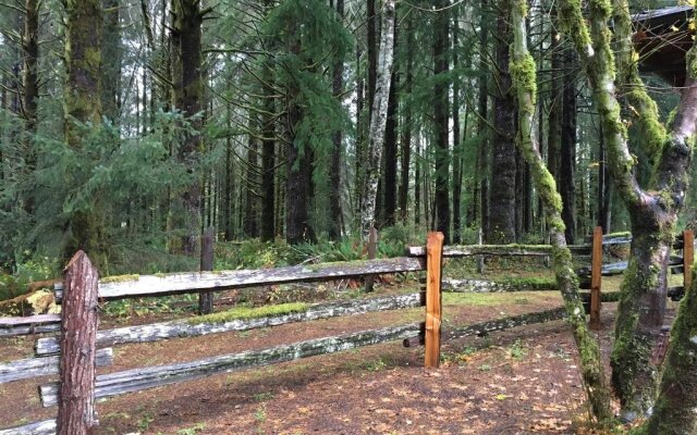 Hoh Rainforest Resort