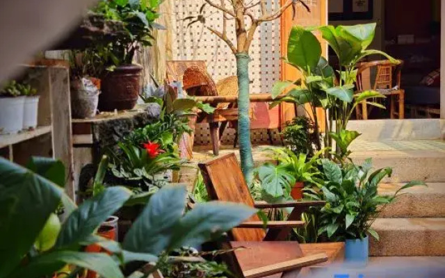 Shankara Youth Hostel