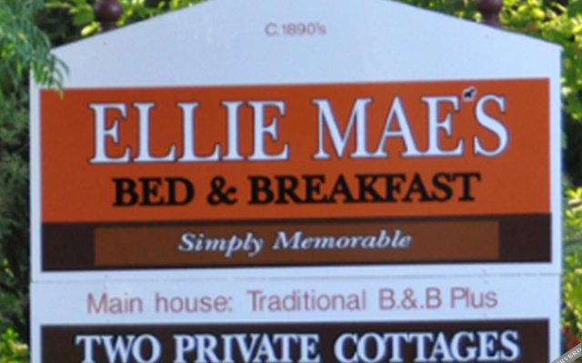 Ellie Maes Bed and Breakfast - Bright