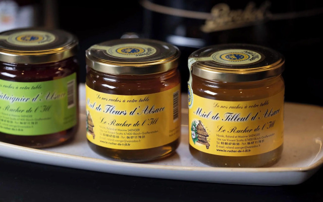 Hotel Diana Dauphine