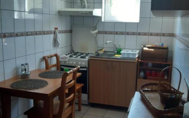 Miha's Apartament Sulina