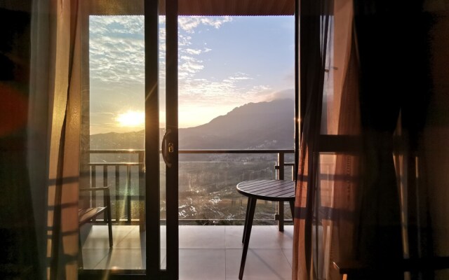 Plants and Flowers.YSTS