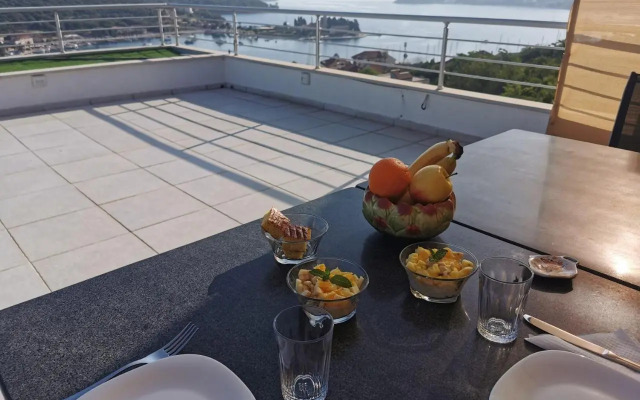 Guesthouse Bellevue