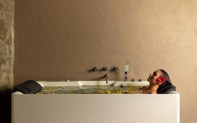 Ayugiri Ayurveda Wellness Resort