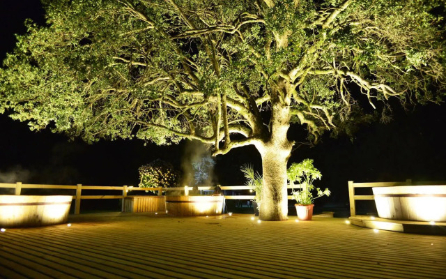 Hotel Pucon Green Park