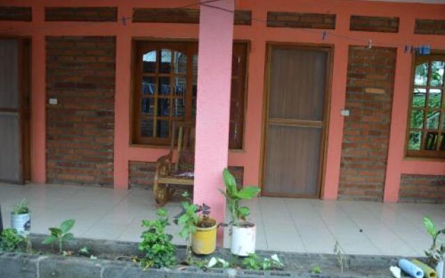 Hotel Comedor Los Cocos