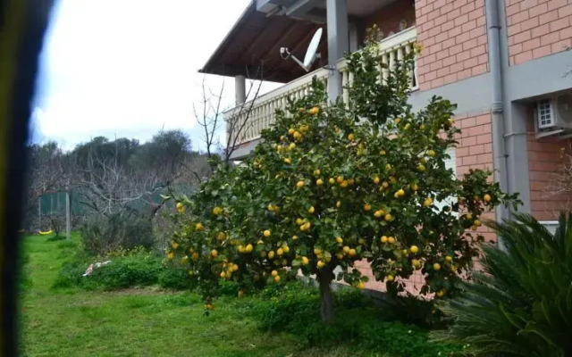 Casa Citti