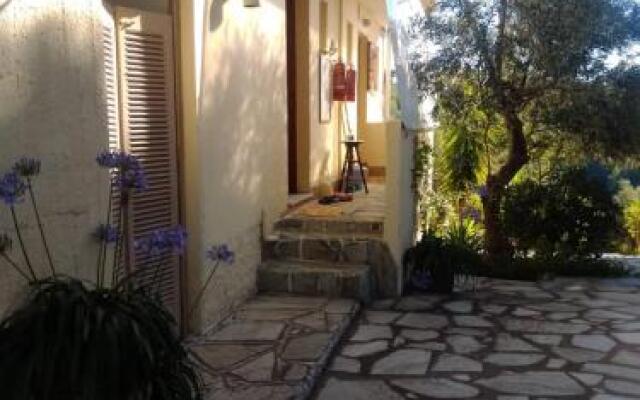 Anemos Studios