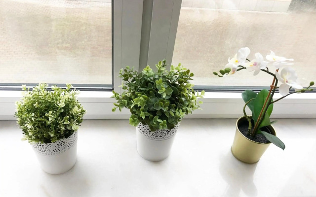 Sienna 93 - cozy studio by Homeprime