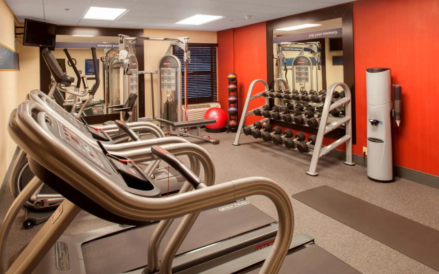 Spark by Hilton Stevensville