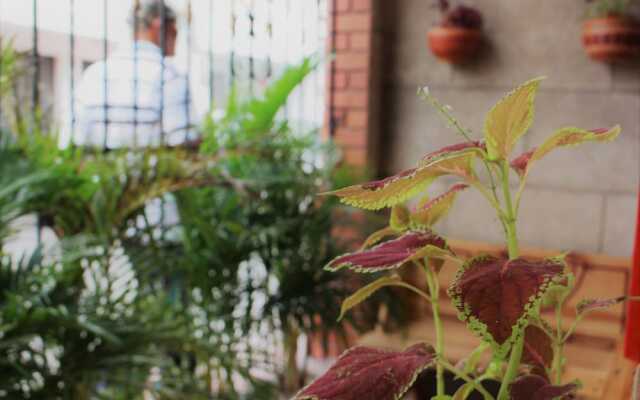 Casa Profunda Hostel