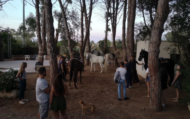 Village Camping Fico d'India