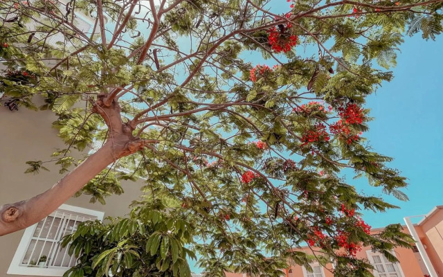 Orland, center of Las Americas LA205