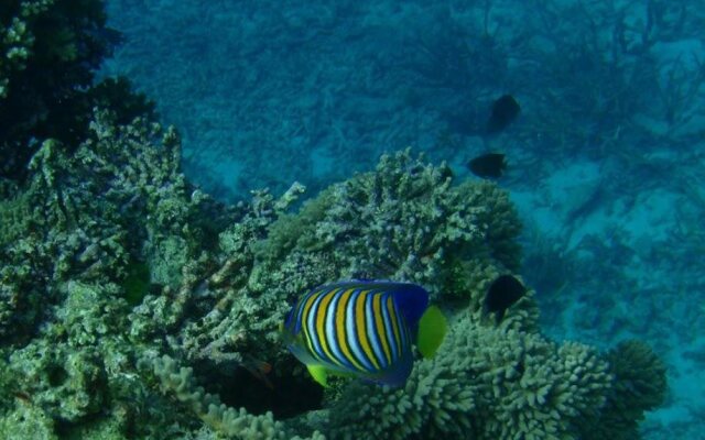 Naigani Island Resort