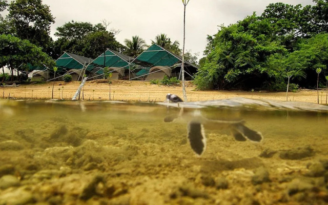 Walai Penyu Resort - Campground