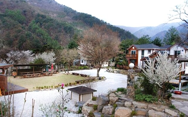 Jeongseon Galiwansan Story Pension