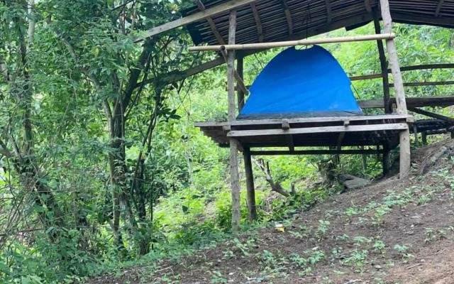 Singalong Nature Camphill Site