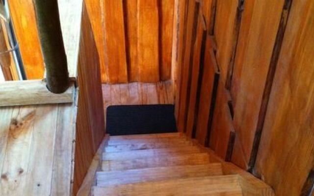 Cabañas Ensenada Bosque Nativo