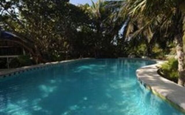 Las Ranitas Eco Boutique