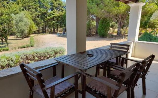 Lemontree Apartments