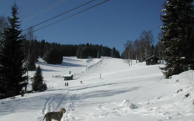 Chalet Helena