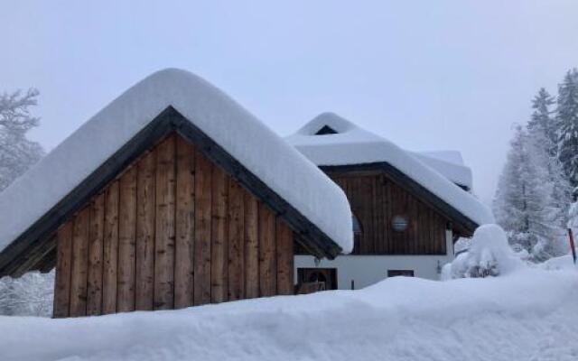 Ferienhaus Waldhauser