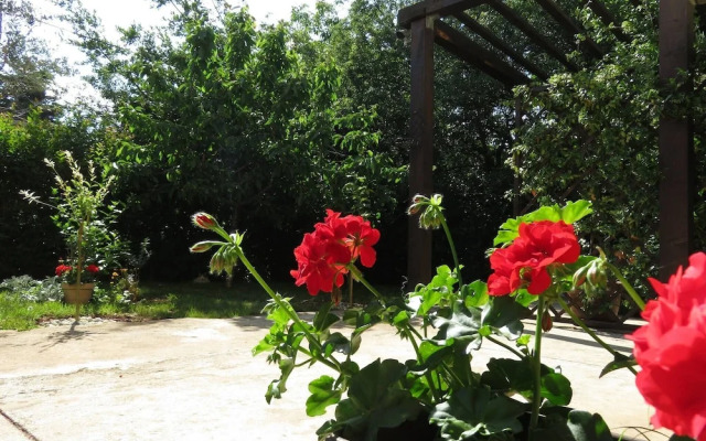 Apartment Angie A2 in Zadar