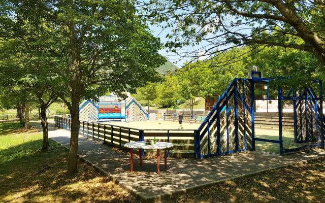 VVF Sud Aveyron, Brusque