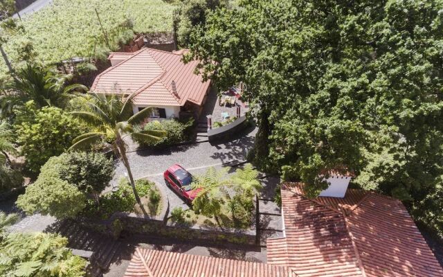 IN LAURISSILVA FOREST, CASA DO LANçO - CARVALHO