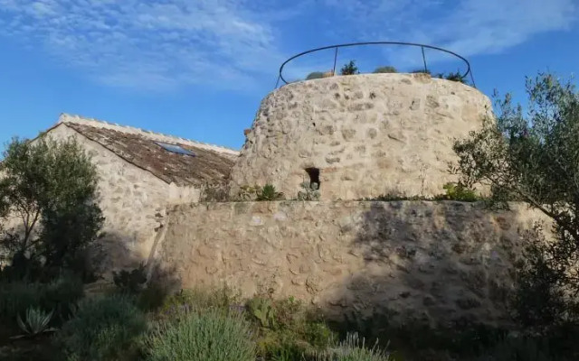 La Pajara del Capitano