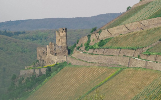 Rheinufer am Hindenburgpark