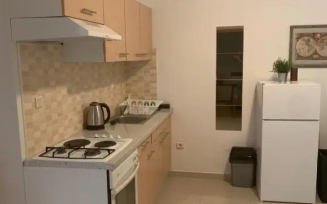 Apartment Anic Milic