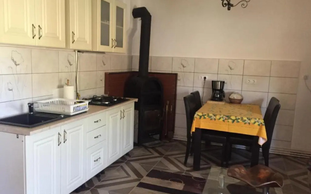 Casa rustica cu terasa